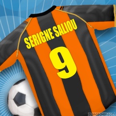 saliou